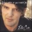 Case Peter - Selected Tracks 1994-2004 in the group CD / Rock at Bengans Skivbutik AB (688264)
