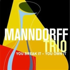 Manndorff Trio - You Break It You Own It