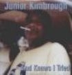 Kimbrough Junior - God Knows I Tried in the group VINYL / Jazz/Blues at Bengans Skivbutik AB (944228)