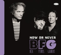 Bex / Ferris / Goubert - Now Or Never