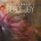 Matt Sorum's Fierce Joy - Stratosphere in the group CD at Bengans Skivbutik AB (994954)