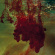 History Of Colour Tv - When Shapes Of Spilt Blood Spelt Lo History Of Colour Tv - When Shapes Of Spilt Blood Spelt Lo