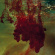 History Of Colour Tv - When Shapes Of Spilt Blood History Of Colour Tv - When Shapes Of Spilt Blood