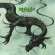 Weedeater - Jason The Dragon (Vinyl Lp) Weedeater - Jason The Dragon (Vinyl Lp)