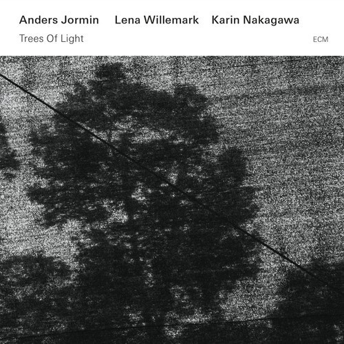 Jormin / Willemark / Nakagawa - Trees Of Light