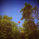 Pioulard Benoit - Sonnet Pioulard Benoit - Sonnet