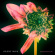 Silent Wave - Dancing away from you / War 7 Silent Wave - Dancing away from you / War 7