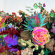 Darkstar - News From Nowhere (2Lp) Darkstar - News From Nowhere (2Lp)