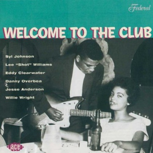 Blandade Artister - Welcome To The Club