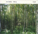 Jon Balke - Warp Jon Balke - Warp
