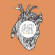 Allen Stone - Radius Allen Stone - Radius