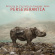 Hacke Alexander & Danielle De Picci - Perseverantia (Inkl.Cd) Hacke Alexander & Danielle De Picci - Perseverantia (Inkl.Cd)