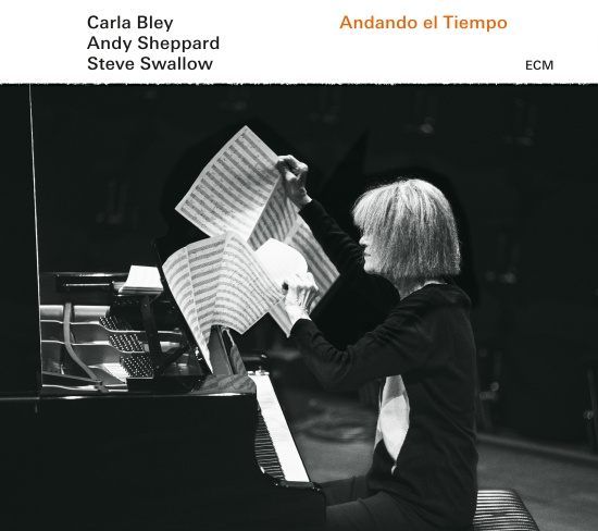 Carla Bleysteve Swallowandy Shepp - Andando El Tiempo