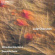 Cherubini Luigi - String Quartets Vol 2 Cherubini Luigi - String Quartets Vol 2