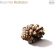 Mozart Wolfgang Amadeus - Mozart For Meditation Mozart Wolfgang Amadeus - Mozart For Meditation