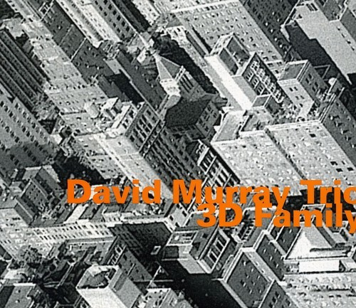 Murray David (Trio) - 3D Family