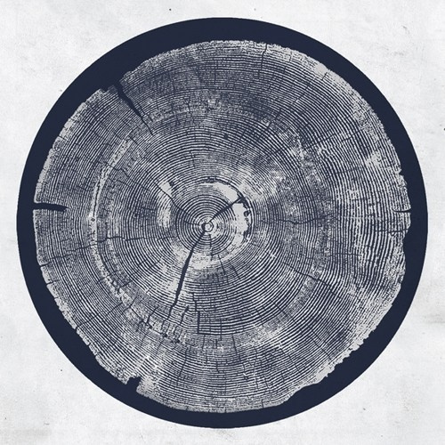Montgomery Roy - R: Tropic Of Anodyne
