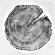 Montgomery Roy - M: Darkmotif Dancehall Montgomery Roy - M: Darkmotif Dancehall