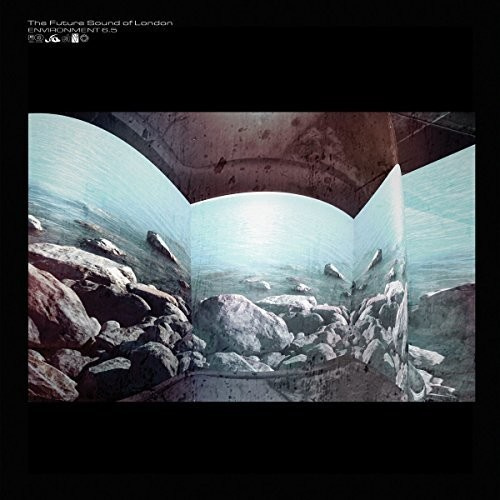 Future Sound Of London - Enviroment 6,5