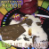 Aquarian Blood - Last Nite In Paradise Aquarian Blood - Last Nite In Paradise