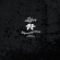 Liljor - Skymningsstund Liljor - Skymningsstund