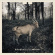 Bängks - Mirror Ep Bängks - Mirror Ep