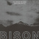 Bison - You Are Not The Ocean You Are The P Bison - You Are Not The Ocean You Are The P