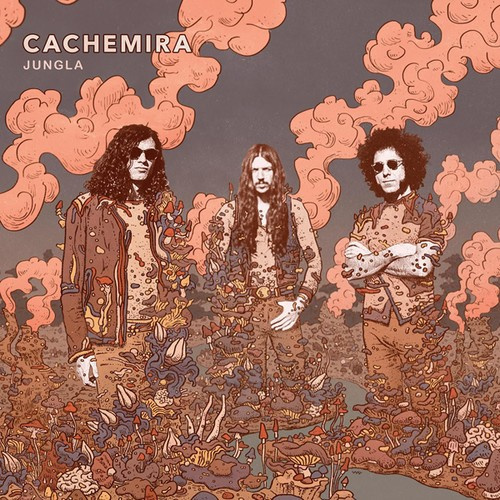 Cachemira - Jungla - Ltd.Ed.