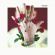 Machine Gun Kelly - Bloom (Vinyl) Machine Gun Kelly - Bloom (Vinyl)
