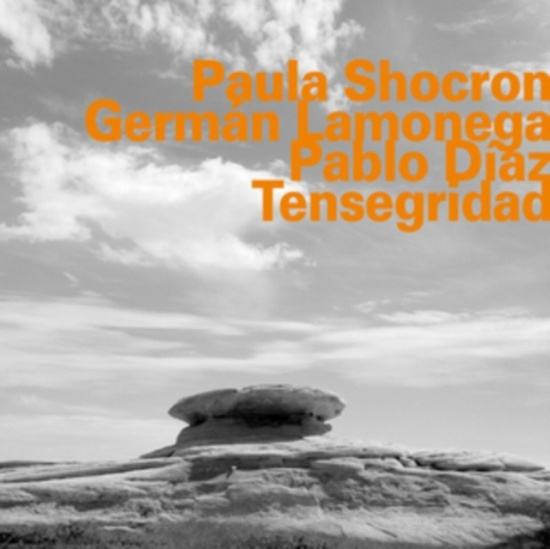 Paula Shocron Germán Lamonega Pab - Tensegridad