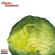 Cheer-Accident - Salad Days Cheer-Accident - Salad Days