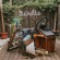 Slaughter Beach, Dog - Birdie Slaughter Beach, Dog - Birdie