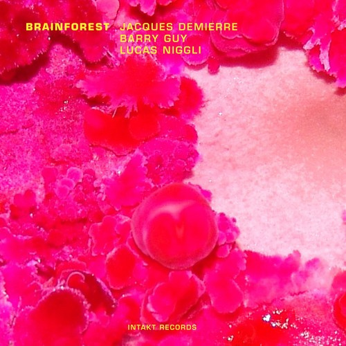 Jacques Demierre Barry Guy Lucas - Brainforest