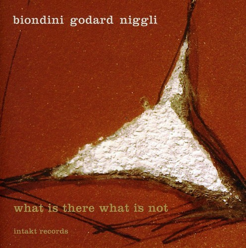 Biondini - Godard - Niggli - Godard - Niggli - What Is There What Is Not