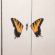 Paramore - Brand New Eyes Paramore - Brand New Eyes