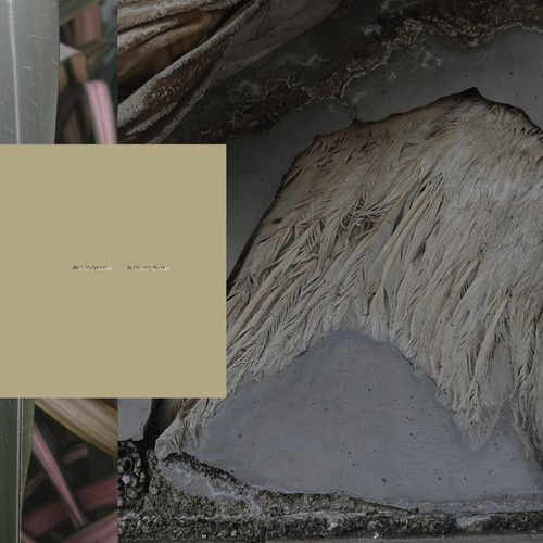 Vanessa Amara - Manos