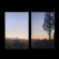 Bonny Doon - Longwave Bonny Doon - Longwave