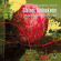Steinar Aadnekvam - Freedom Trio Ii Steinar Aadnekvam - Freedom Trio Ii