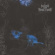 Wolves In The Throne Room - Black Cascade (Vinyl Lp) Wolves In The Throne Room - Black Cascade (Vinyl Lp)