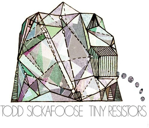 Todd Sickafoose - Tiny Resistors