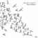 Colman Sara - What We're Made Of Colman Sara - What We're Made Of