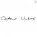 Caetano Veloso - Irene Caetano Veloso - Irene
