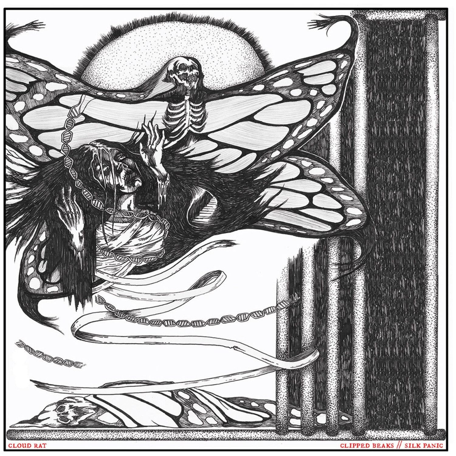 Cloud Rat - Clipped Beaks / Silk Panic