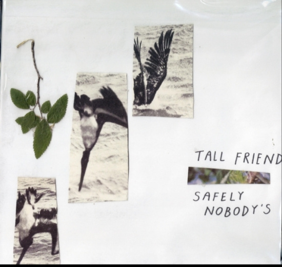 Tall Friend - Safely Nobody's