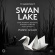 Tchaikovsky Pyotr - Swan Lake (2Cd) Tchaikovsky Pyotr - Swan Lake (2Cd)