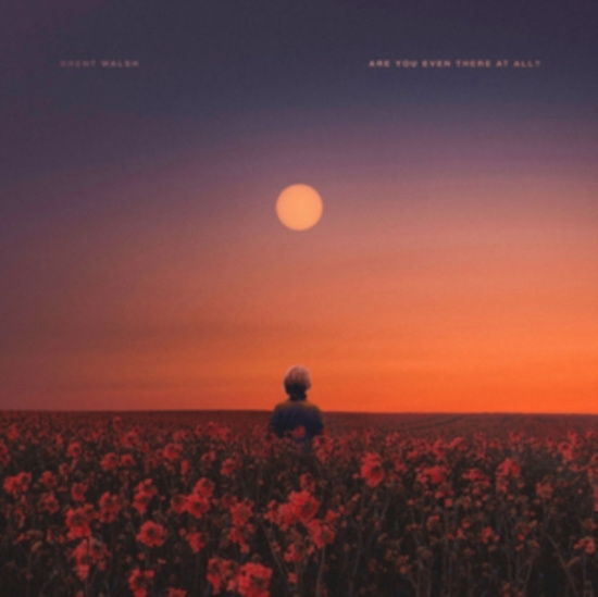 Walsh Brent - Are You Even There At All?