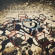 Nosound - Northern Religion Of Things Nosound - Northern Religion Of Things