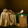 Andrew Bird - My Finest Work Yet Andrew Bird - My Finest Work Yet