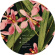 Dyalla - Come My Way Dyalla - Come My Way