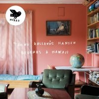 Trond Kallevåg Hansen - Bedehus & Hawaii